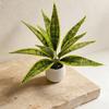 11-Leaf Magnolia & Tiger Pothos Artificial Potted Plant - Home Décor Accessory