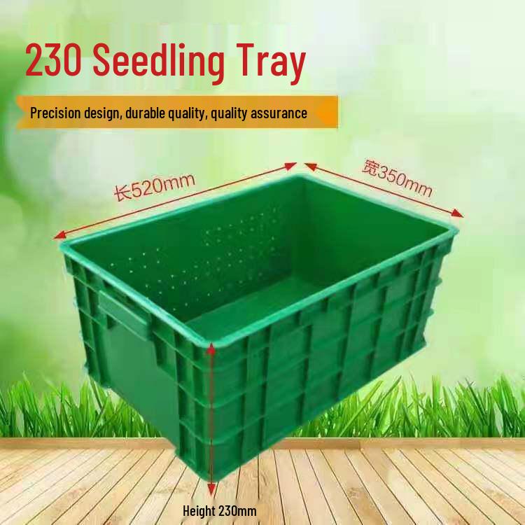 Large Commercial Seedling Tray for Bean Sprouts and Vegetables
