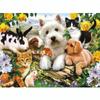 5D DIY Diamond Painting Animal Cross Stitch Kit Mosaic Diamond Embroidery Rose Full Round/Square Drill Home Decoration