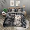 3-piece Set of Cute Cat Printed Bedding, Suitable for Bedrooms and Guest Rooms (1* Quilt Cover + 2* Pillowcase, Coreless)