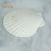 10Pcs Natural Scallop Shells DIY Crafts Theme Party Decor Bright White Seashells Jewelry Christmas Decoration