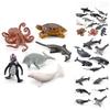 Marine Animal Pvc Model With Realistic Design For Education And Collection