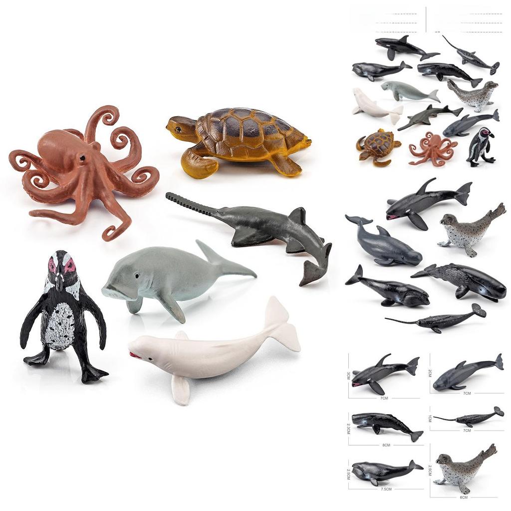 Marine Animal Pvc Model With Realistic Design For Education And Collection