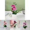 Butterfly Orchid Artificial Plant With 3d Printing For Home Decor And Photography Props