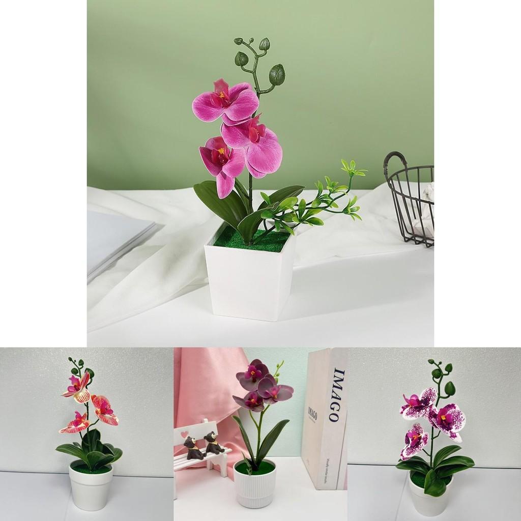 Butterfly Orchid Artificial Plant With 3d Printing For Home Decor And Photography Props