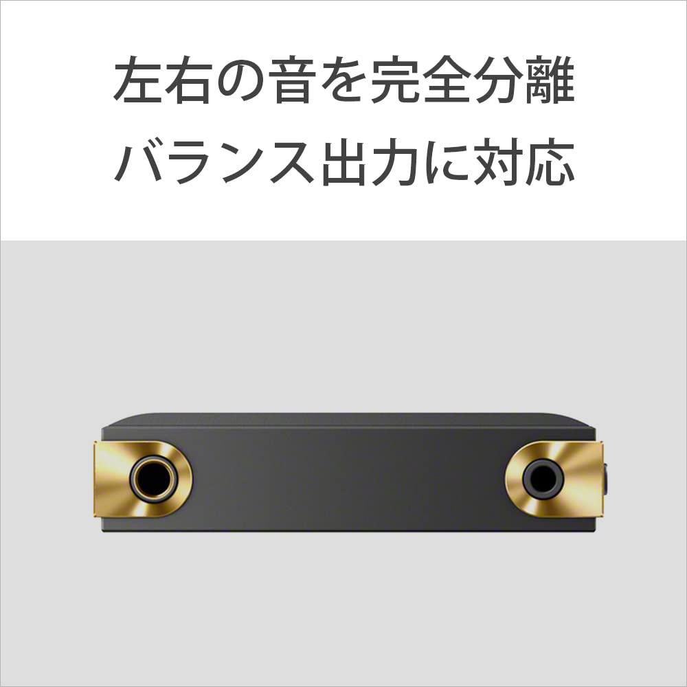 Sony Walkman 64GB ZX Series Streaming Remastering Engine To 25 Hours of Continuous Inch Touch Balanced Connection Equipped with DAC Reality Audio