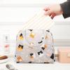 Cartoon Lunch Meal Bag for Office Workers Adult Insulated Lunch Bucket Insulated Bag Lunch Lunch Bag Bento