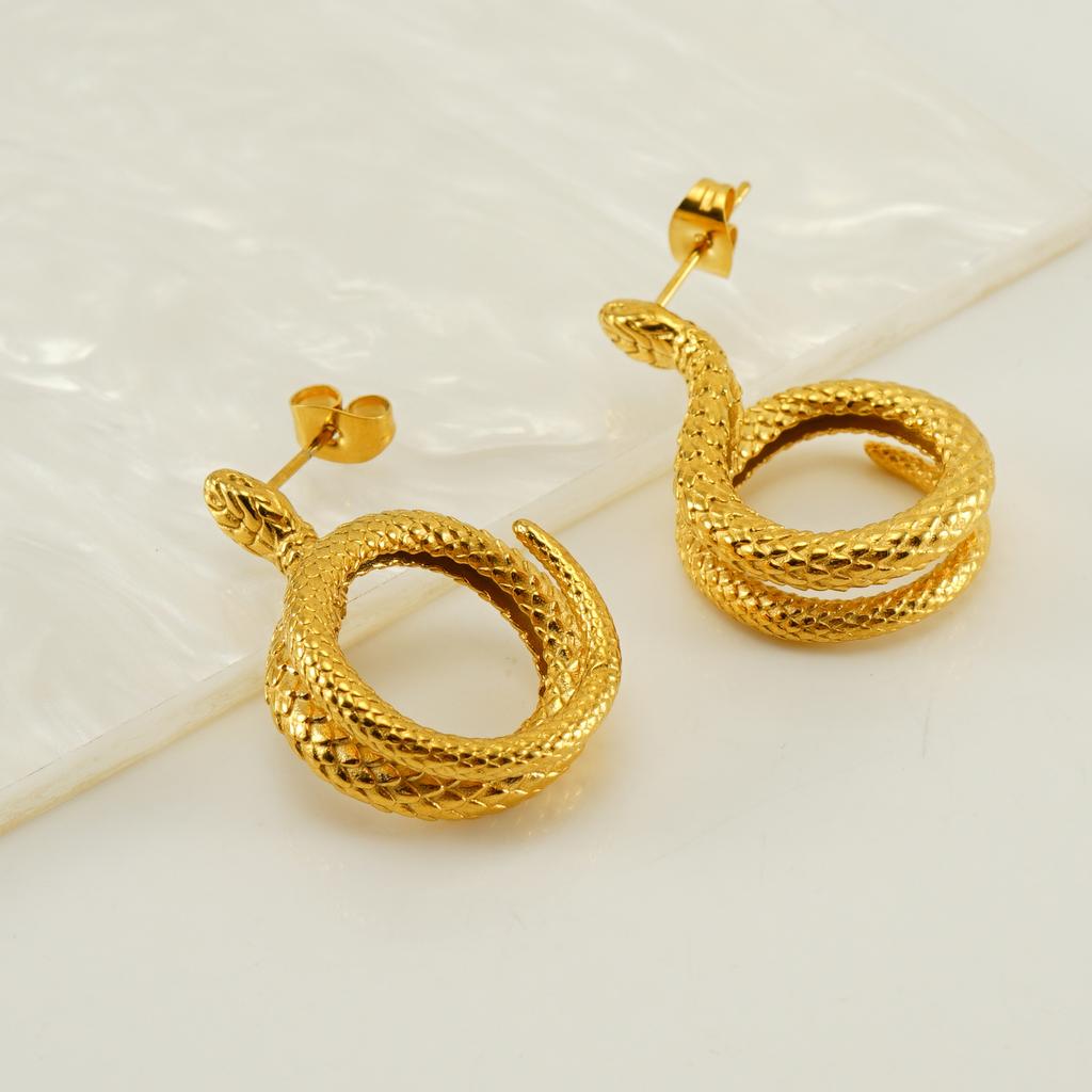 Fashion High-end Snake Earrings Personalized Niche Temperament Earrings Stainless Steel Snake Earrings Women