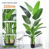 Artificial Indoor Plants & Trees: Monstera, Areca Palm, Jacaranda, Nandina, Rubber Fig - Free Shipping