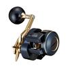 Daiwa Джиггинг 21 Saltiga IC 300