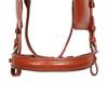 Tan Color Driving Harness Bridle Premium Quality For Horse Size.