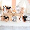 18cm Cute Simulation of Many Kinds of Dog Plush Toys Delicate Small Kawaii Husky Dolls for Pet Gifts Shiba Inu Chihuahua