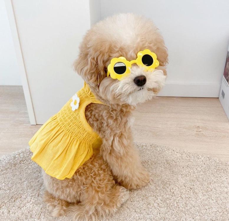 Летний жилет Four Seasons Striped Bear Vest Teddy Bigbear Universal Dog Clothing для маленьких и средних собак Pet Cat Clothing