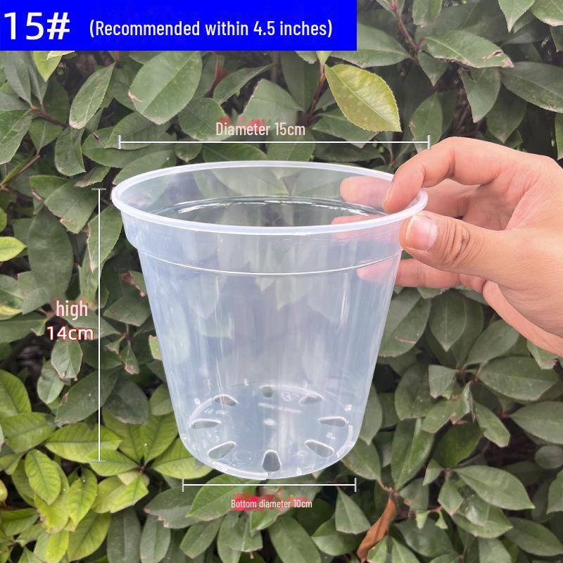 Clear Plastic Orchid Pot: Sphagnum Moss, Square & Round Design for Phalaenopsis or Fish Tanks