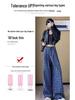 Women's Retro Plaid Double-Breasted Straight-Leg Wide-Leg Pants - Zhao Lusi Style, Spring & Autumn Collection in Blue.