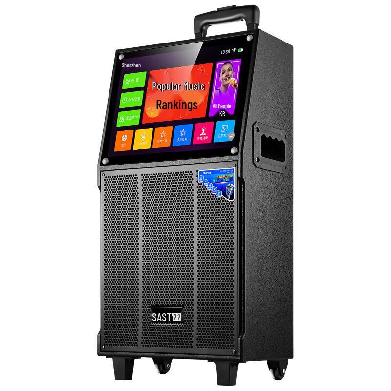 HANDUNYOUST-1501 Portable Karaoke Speaker System with Display