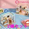 Dollhouse Handmade Kit Set Miniature SHOP SERIES of 2 Pink (t-FREAK) (Set + Blue)