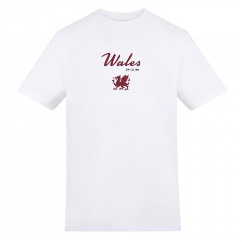 AWD Unisex Adult Wales Since 1881 T-Shirt