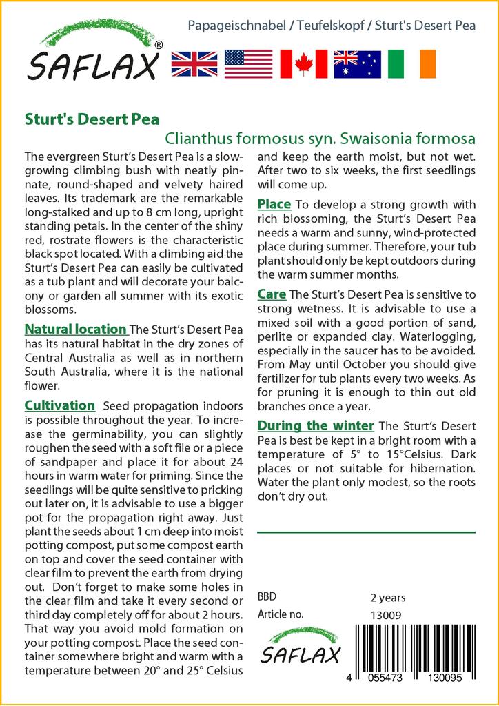 SAFLAX Горох пустынный Sturt's - 20 семян - Clianthus formosus