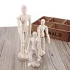 11.4/14/20cm Puppet People Art Sketch Painting Tools Wooden Crafts Ornaments Collection Model Doll For Children Draw Action Toys