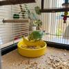 Ceramic Hamster Water Bowl Wide Mouth Tortoise Feeding Dish Anti Spill Pet Feeding Bowl  Small Pet