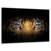 GLASS CUTTING BOARD STAND 40x30 TIGER