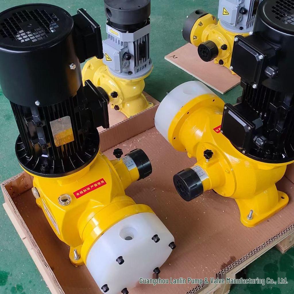 DZ-X2/50 304 Stainless Steel Acid & Alkali Resistant Plunger Metering Pump