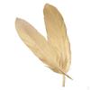 Pack of 12 Goose Feather 15-20CM/5.9-7.9inch Party Decoration Gold