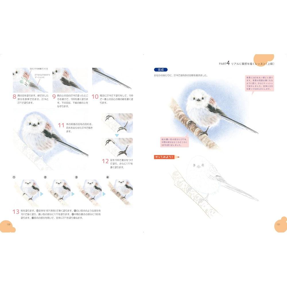 HobbyJAPAN Learn with Coloring Real Colored Pencil Drawings Flowers Fruits Sweets Jewelry