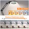 Long Swing Arms 5X/10X Magnifying Glass Lamp with 5 Color Adjust LED Lights Reading Table Lamp for Welding Repair Close Work