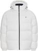 Winter Jacket Tommy Hilfiger TJM Essential Down Jacket (DM0DM15447)