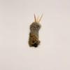 Rabbit Fur Matatabi Cat Chew Toy Teeth Cleaning Self Amusement Pet Toy Replacement Head