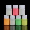 20g Cool DIY Craft Party Luminous Paint Acrylic Glow In The Dark Pigment