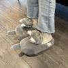 Fashion Footsie Cat Slippers Women's Winter Warm Shoes Free Shipping Funny Kitty Animal Slides Woman Fluffy Fur Mules Birthday Gift Toys