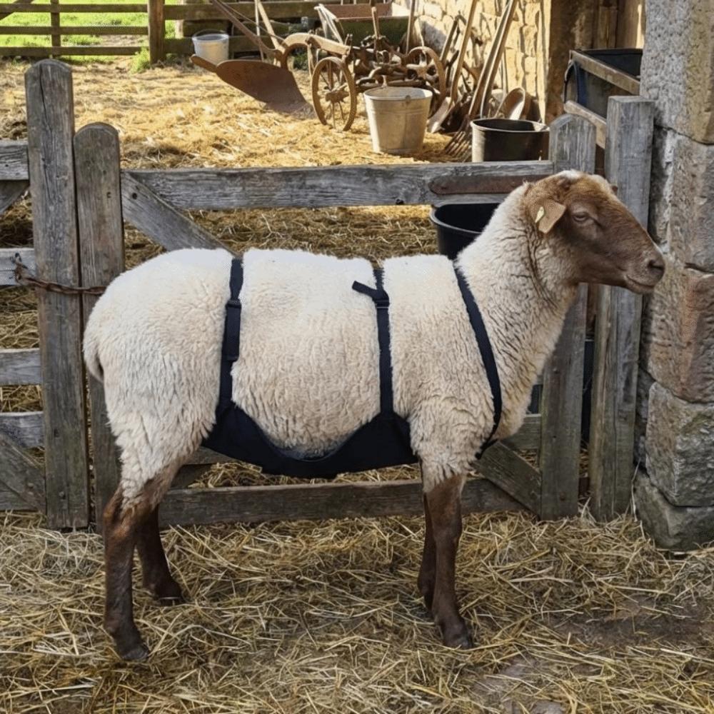 Breathable Wear Resistant Livestock Anti Breeding Apron, Adjustable Strap Anti-Mating Animal Control Skirt