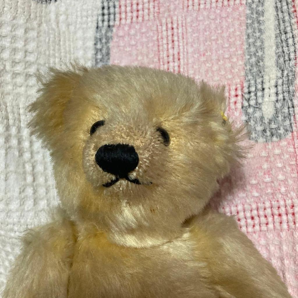 [USED] Steiff Teddy Bear 0168/32 Used