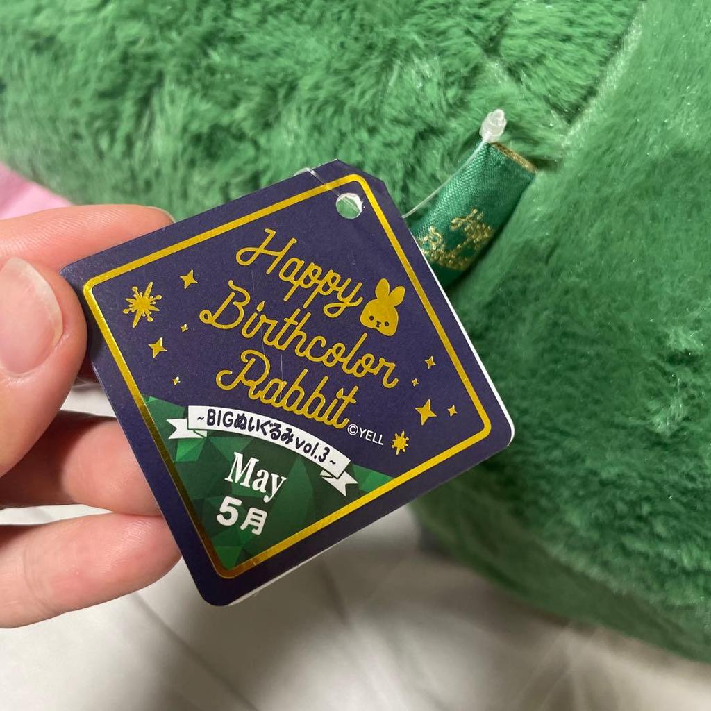 [Б/У] Милая плюшевая игрушка-зайчик в пастельно-зеленом цвете. Может подбодрить.