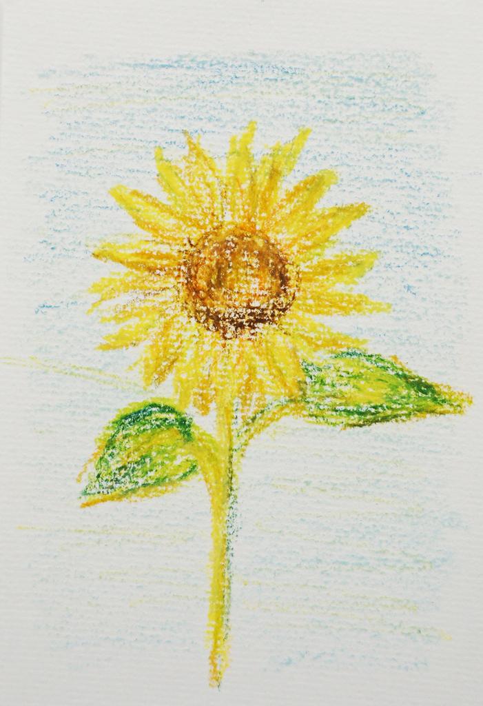 Мелок восковой Turner Color Rice Crayon RR75016C