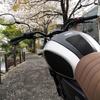 Защитная накладка на бак World Walk G2 для YAMAHA XSR155 Черная g2-56
