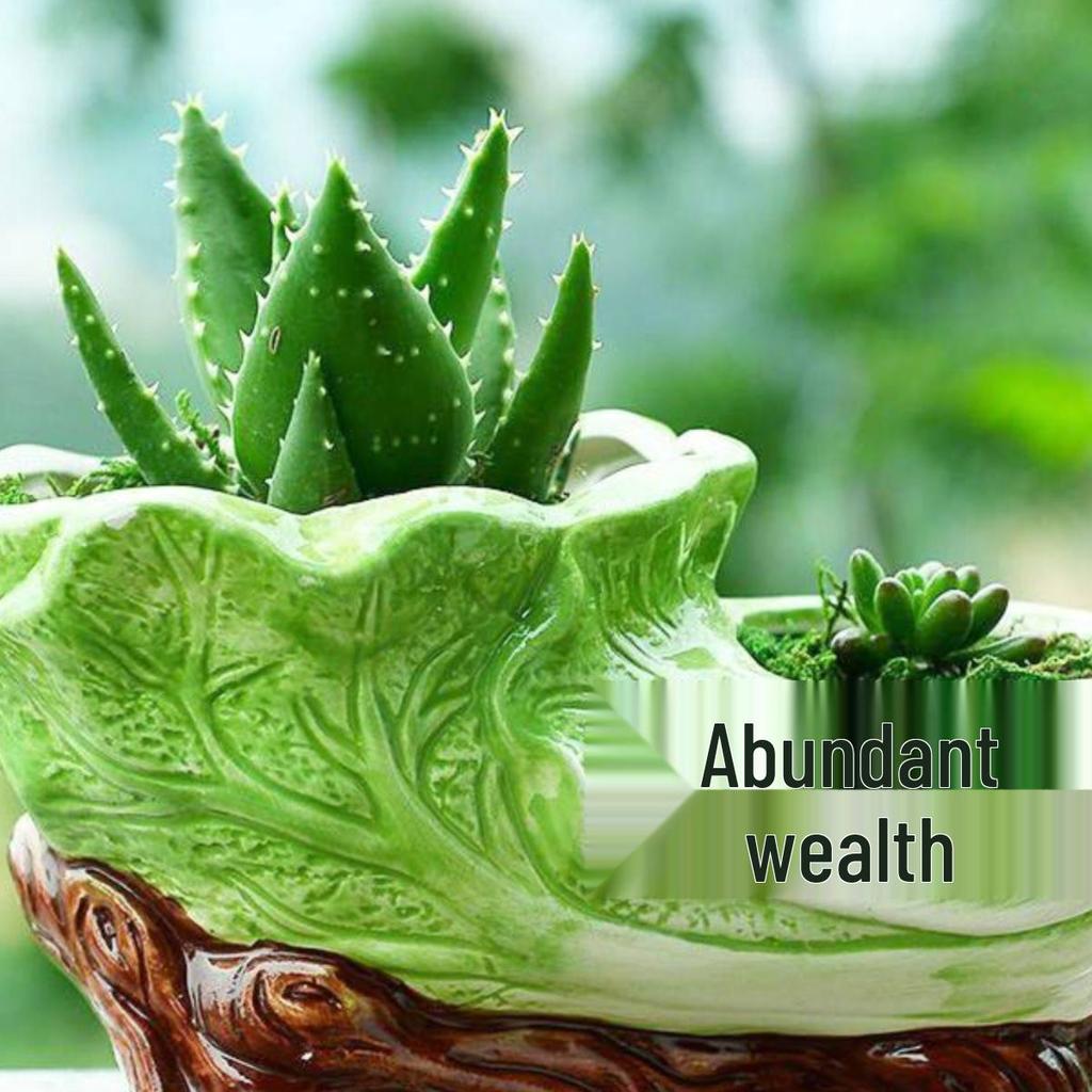Large European Double-Mouth Ceramic Succulent Pot - Creative Retro Design for Indoor Decor