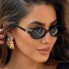 Sexy Small Oval Leopard Sunglasses Women Lovely Ins No Makeup Plain Glasses Frame Men Eyewear Cute Decorative Computer Glasses