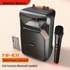 Портативная Bluetooth-колонка Newmine TR-K11, штекер CN (адаптер в комплекте)