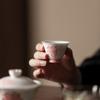 Ручная роспись Цветочный фарфоровый набор Гайвань с 2 чашками Портативный дорожный чайный набор Китайская чайная посуда Ганфу Подарочная коробка