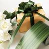 PP Ribbon Roll Leaf Pattern Printing Ribbon Polypropylene Waterproof Wrap Ribbon Flower Shops Bouquet Packing Ribbons Decoration