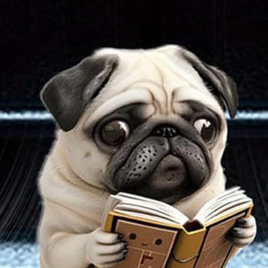 Щенок Освежитель воздуха для автомобиля Акриловый зажим на воздуховод Милый декор для приборной панели со сменными ароматическими подушечками Легкий подарок для любителей собак Автоаксессуары