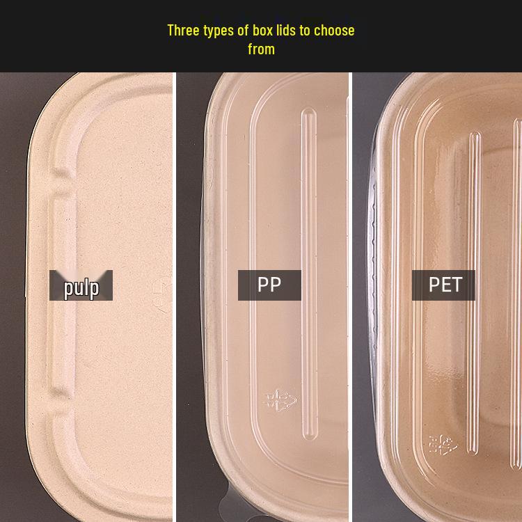 Eco-friendly Three-Compartment Disposable Bento Box – Microwaveable Paper Lunch Container for Salads and Light Meals