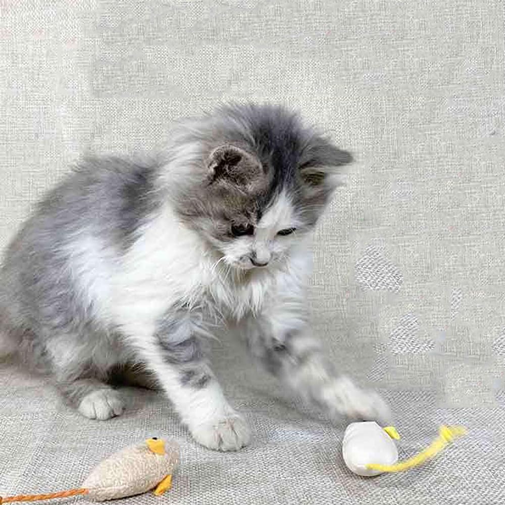 YBGGJO Игрушки для кошек и мышей, Набор из 6 штук, Плюшевые игрушки для питомцев, Игрушки для жевания, Лакомства для кошек, Снятие стресса, Упражнения, Товары для питомцев (К)