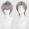 High Quality Till Cosplay Wig Short Silver Grey Heat Resistant Synthetic Hair Anime Cosplay Wigs + Wig Cap