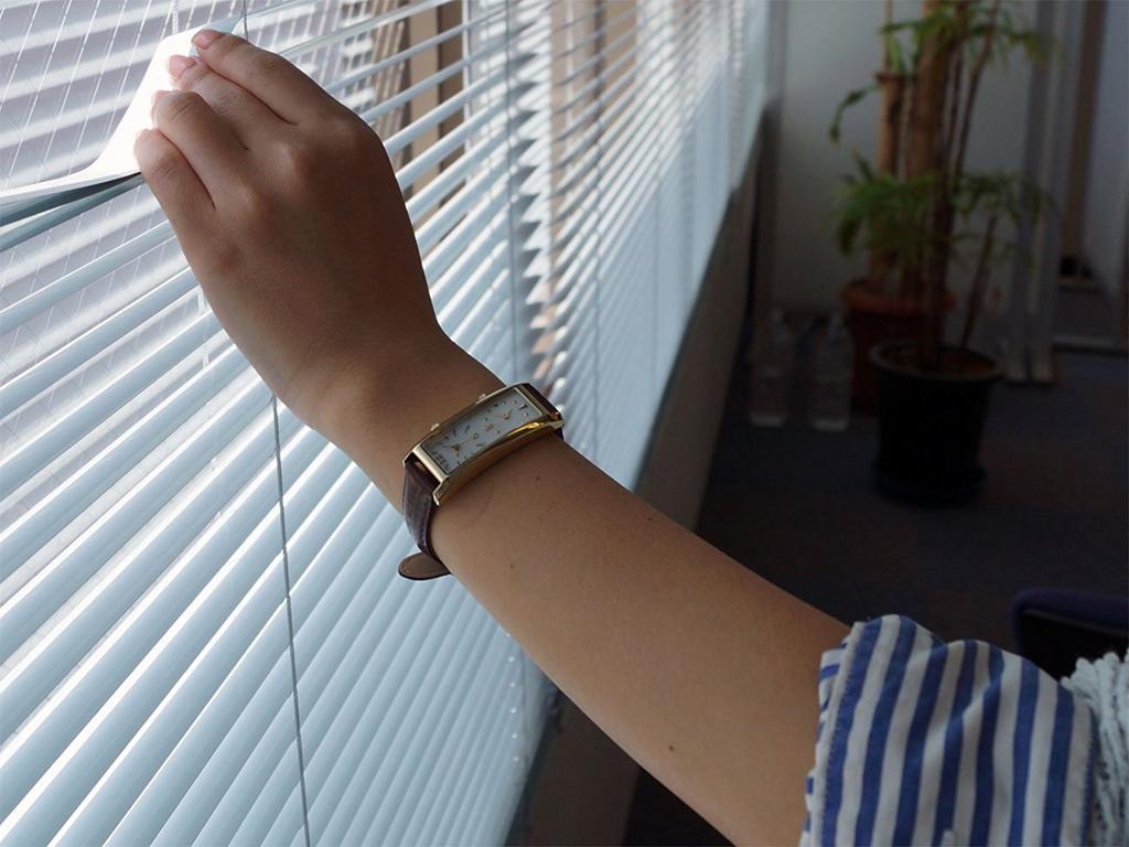 GRANDEUR Dual Time Watch Limited Ремень из коровьей кожи с тиснением под крокодила GSX048W9 Коричневый [GRANDEUR] Женский / Цвет