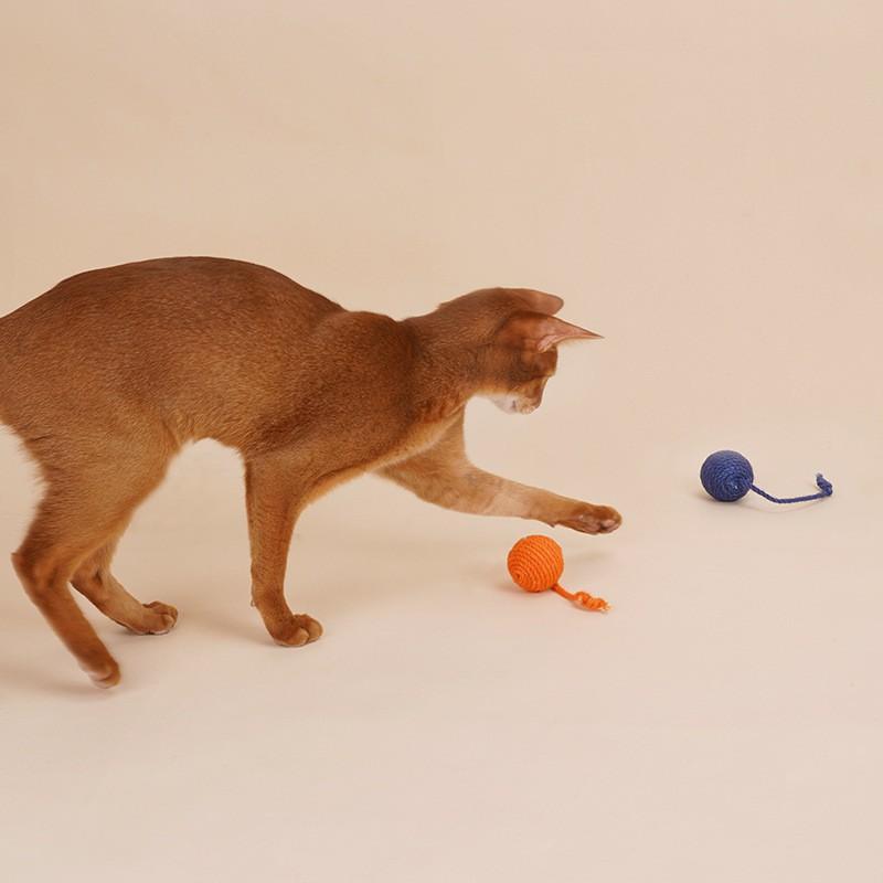 Cat Toy Set With Rope Ball Catnip Durable Interactive Wand Indoor Cats Multi-Color Options